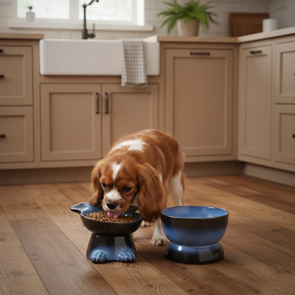 Nihow Dog Food & Water Bowl Set: Elevated Ceramic Dog Bowls for Medium/Small Size- Food Safe Raised Puppy Bowls - Vivid Blue Pet Bowl for Protecting Pet's Spine (Set of 2)