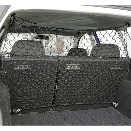 blonde wire haired terrier