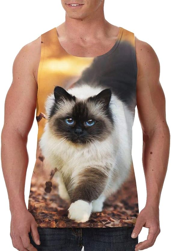 Amazon Co Jp タンクトップ 秋に歩く シャム猫 ノースリーブ フィットネス スポーツ トレーニング 筋トレ メンズ ファッション
