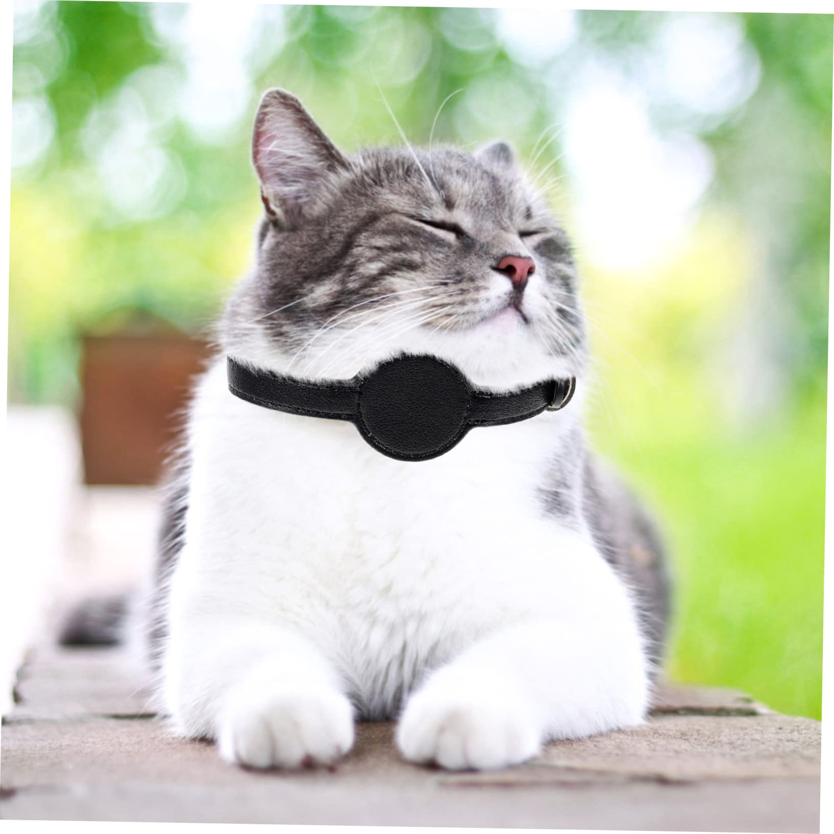 YARNOW 5piezas Collar De Protección para Gatos Diseño De Collar Paseos Material PU