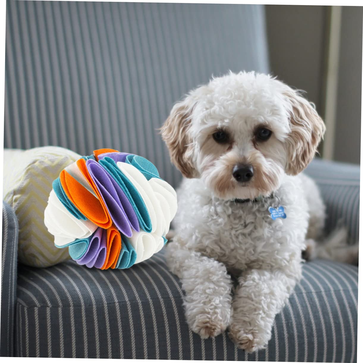 GALPADA Pelota Olfativa para Perros Interactiva, Juguete Masticable de Fieltro Duradero, 20 Cm, para Entretenimiento en Casa y Jardín, Adecuada para Perros Pequeños y Medianos