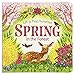 Spring in the Forest