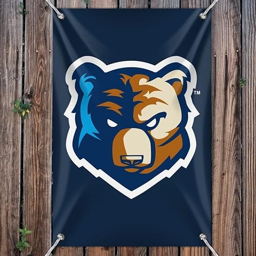 Miniatura 3 de Bob Jones University - Cartel de vinilo con logotipo primario para oficina en casa, 22 x 33 pulgadas (22.0 in x 33.1 in)