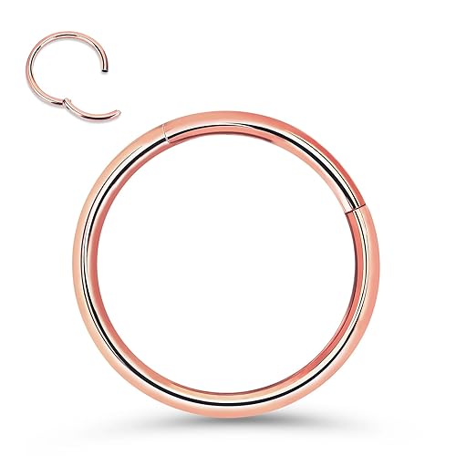 Titanium Nose Rings 20G 18G 16G Nose Rings Hoops Septum