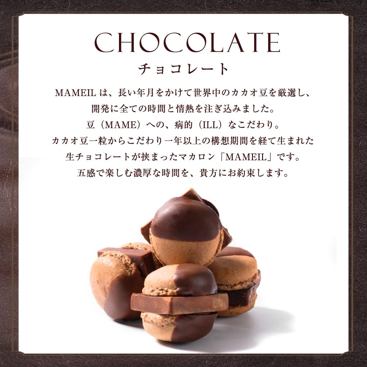 MAMEIL マメイル 生チョコレート マカロン 6個セット お菓子 人気 ギフト プレゼント 北海道 冷凍便 バレンタイン (ギフト仕様なし：生チョコ)