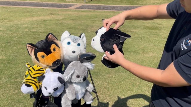 Amazon.com : Koala Golf Headcover, Lovely Animal Golf Club Cover