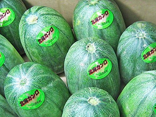 Amazon 北海カンロ 2l 3l 8kg 9 13玉前後 甘露 あじうり アジウリ かんろ 期間限定 7月上旬 8月下旬 出荷元 北海道四季工房 北海道四季工房 メロン 通販