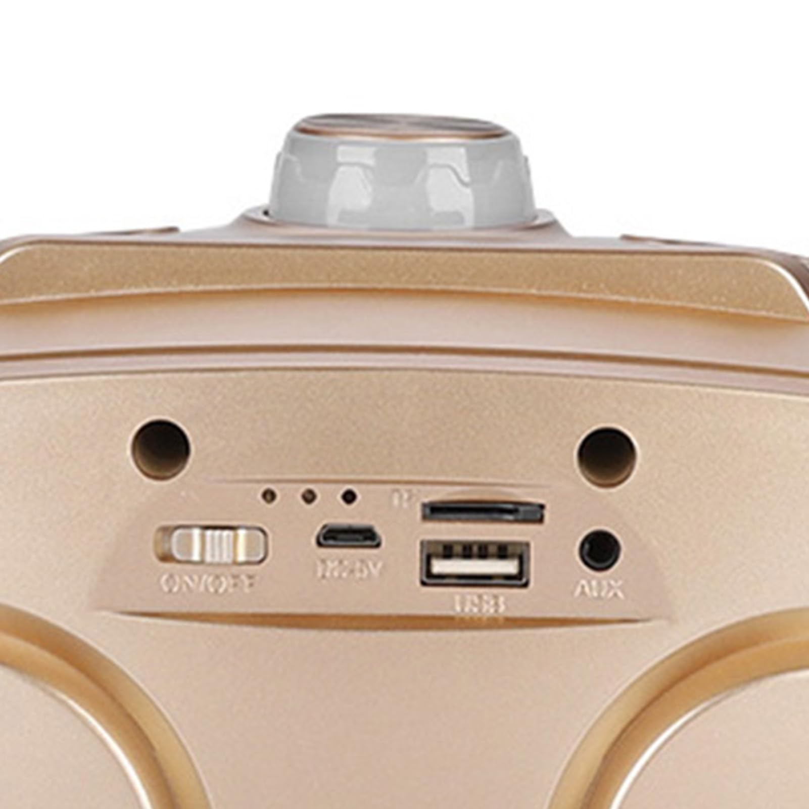 Unidad de Karaoke Altavoz de Karaoke Altavoz Bluetooth Inicio KTV Karaoke Altavoz Bluetooth con Dos micrófonos(Oro)