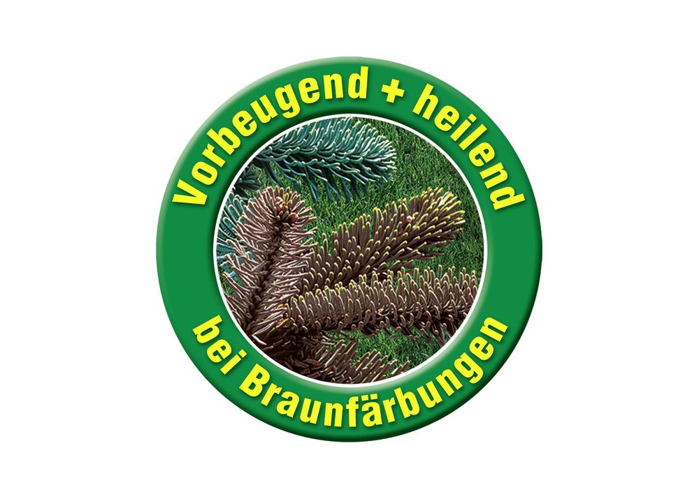 dünger für engelstrompete ProviPlant Engelstrompeten-Dünger: Brugmansia & Nachtschattengewächse