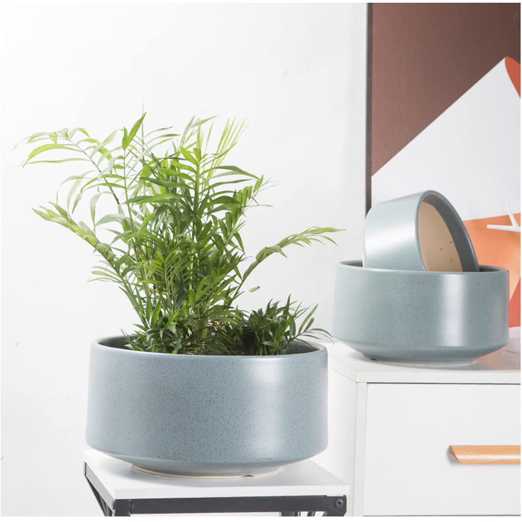 Vasi da Giardino Vaso di Fiori succulenti per la casa per la Decorazione Domestica, fioriere per vasi in Ceramica con Fori di drenaggio e piattini per Desktop