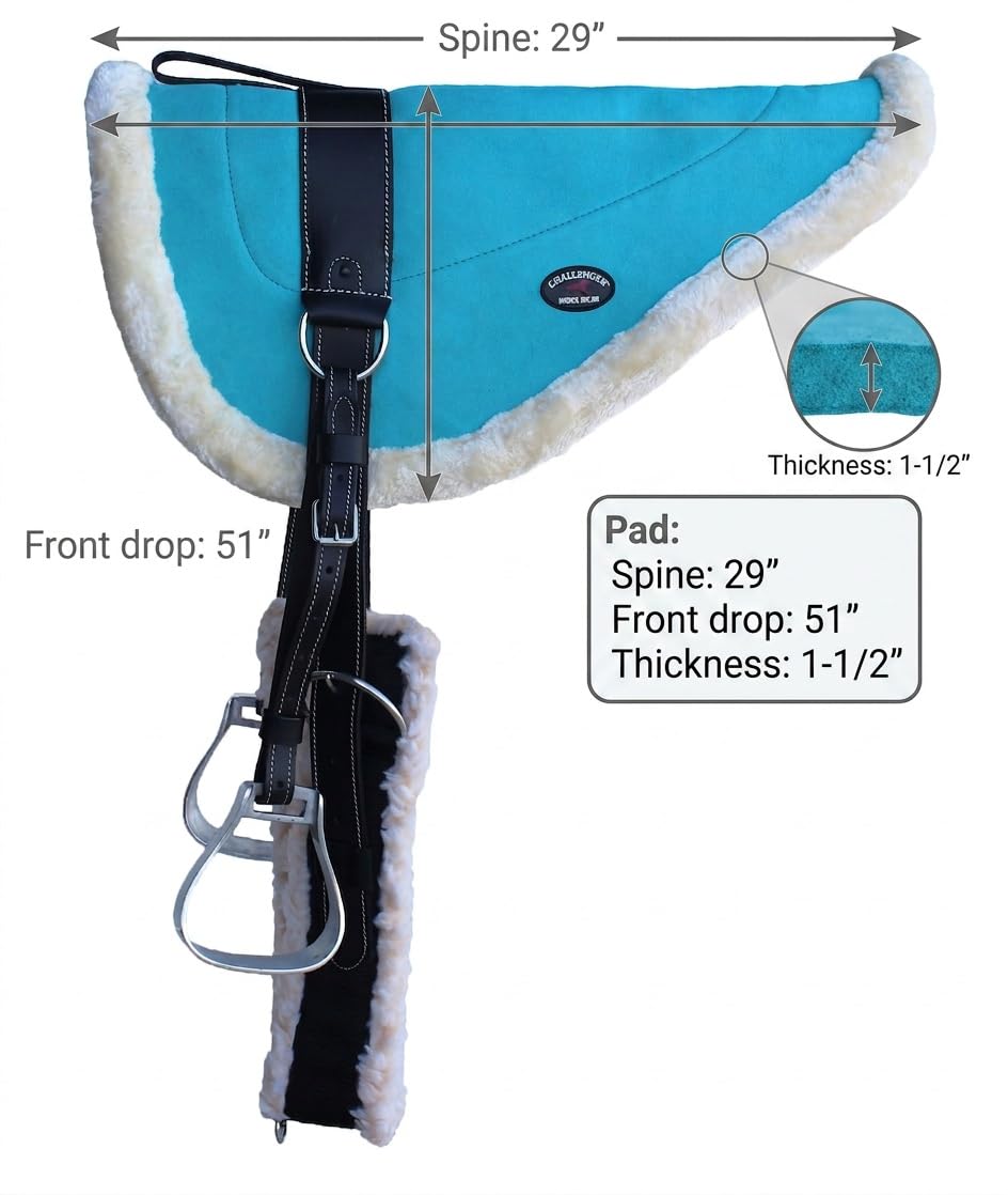 Caballo occidental Inglés silla de montar Piel de ante turquesa Anillo de Thor Equine TEBPS 39139