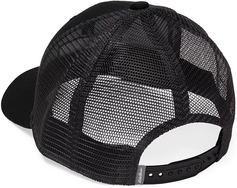 Eddie Bauer Mens Eddie Bauer Logo Recycled Graphic HatHat