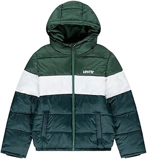 Lvb Boy's Color Block Puffer Chaqueta, Verde Bistro, 12 años para Niños