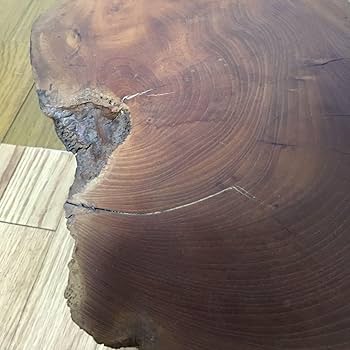 木製　置台　切り株　花台 soldout 花台 無垢材 ヒノキ 飾り台 ディスプレイ フラワー