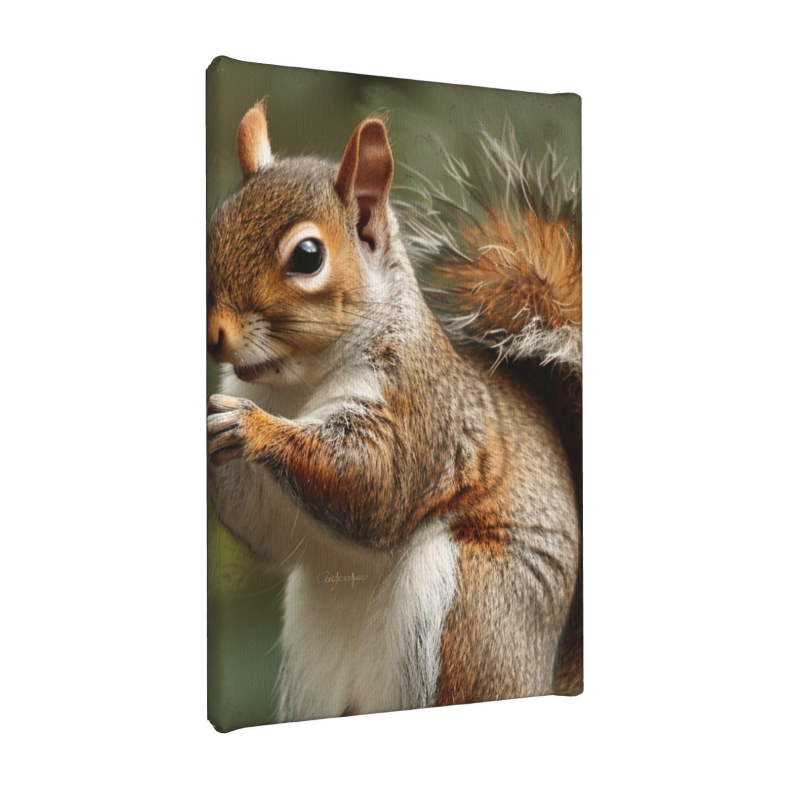 YKLJG Squirrel Printed Wall Art Canvas Painting 20x30 CM Wooden Framed Picture Painting Artwork Prints for Bedroom Kitchen Home Office Decor