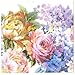 Price comparison product image Ambiente PaperTowel L Painted Flower AMB6610L (Japan import / The package and the manual are written in Japanese)