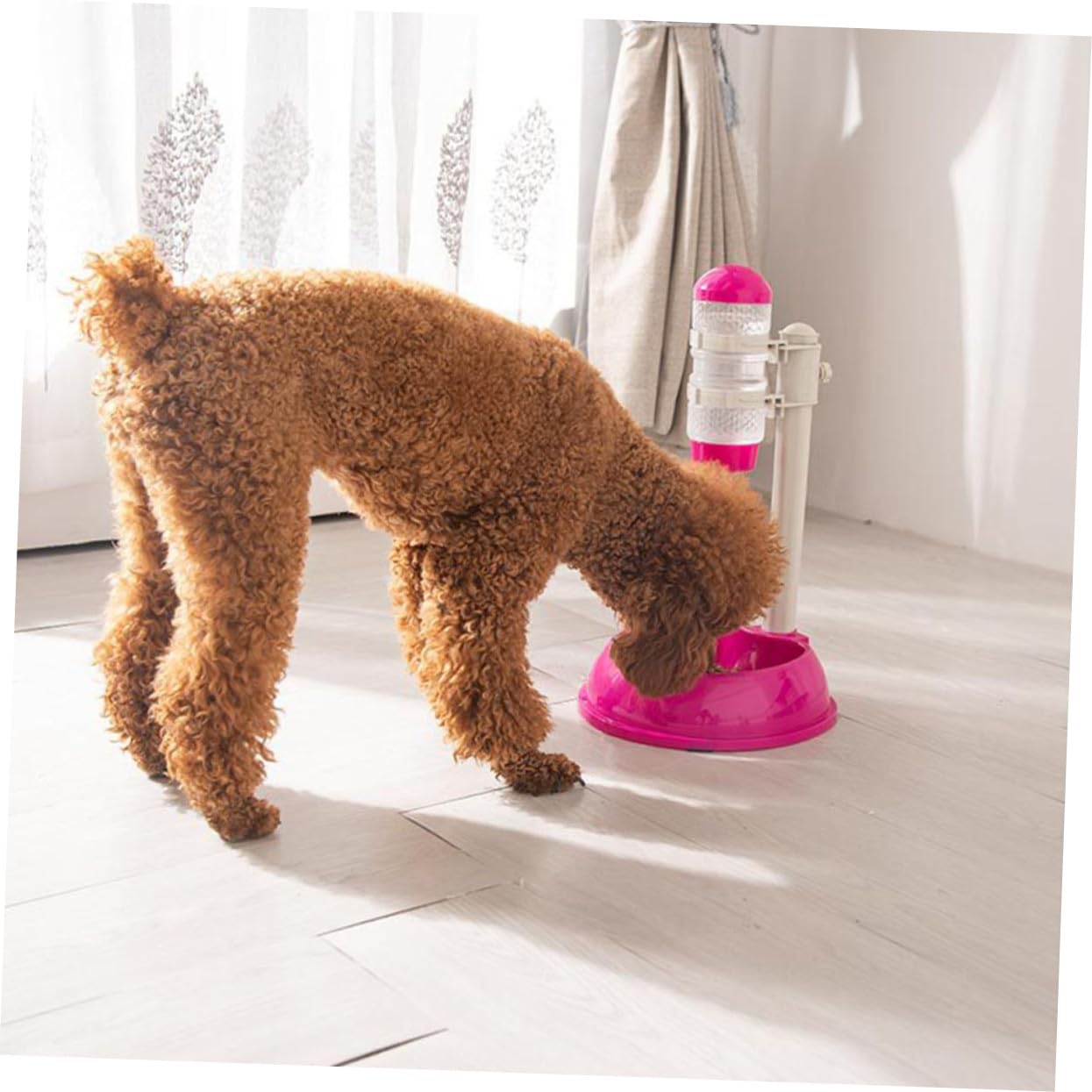 Alimentador Automático para Mascotas Bebedero y Comedero Regulable en Tamaño, Capacidad 500ml, Material PP y PVC, Adecuado para Perros y Gatos