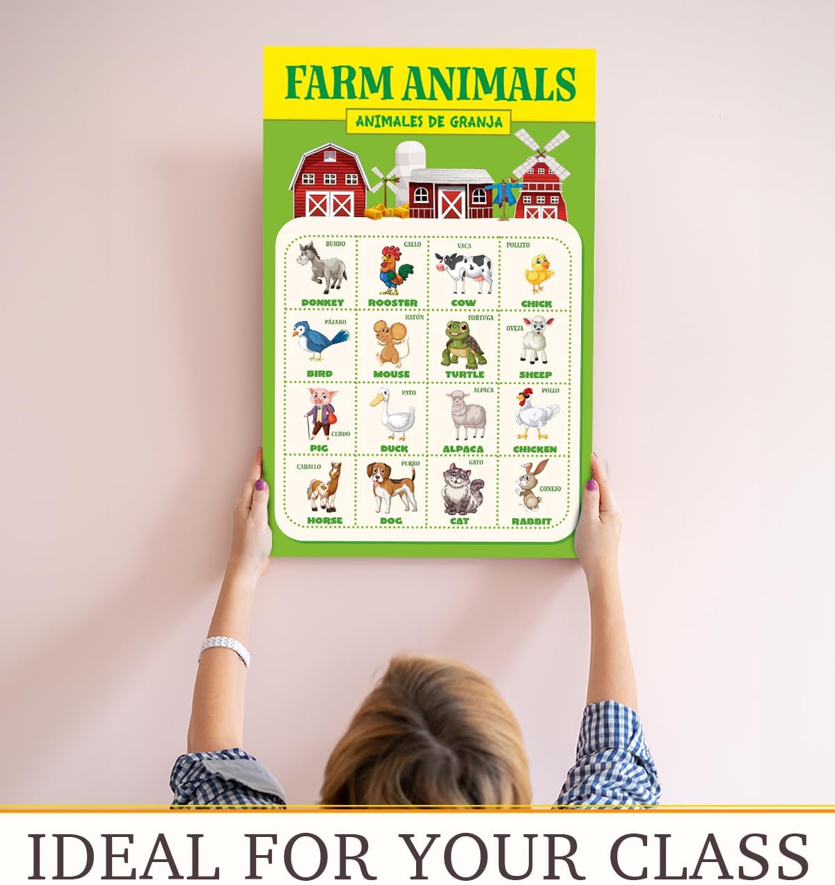 Sophema a Set of 26 Designs Bilingual Educational Posters Decor 11"x17", Alfabeto en Espanol Sturdy Coated Art Paper With Glossy Lamination, Tear-Proof and Waterproof , 20 Sheets Of Assorted Stickers Included