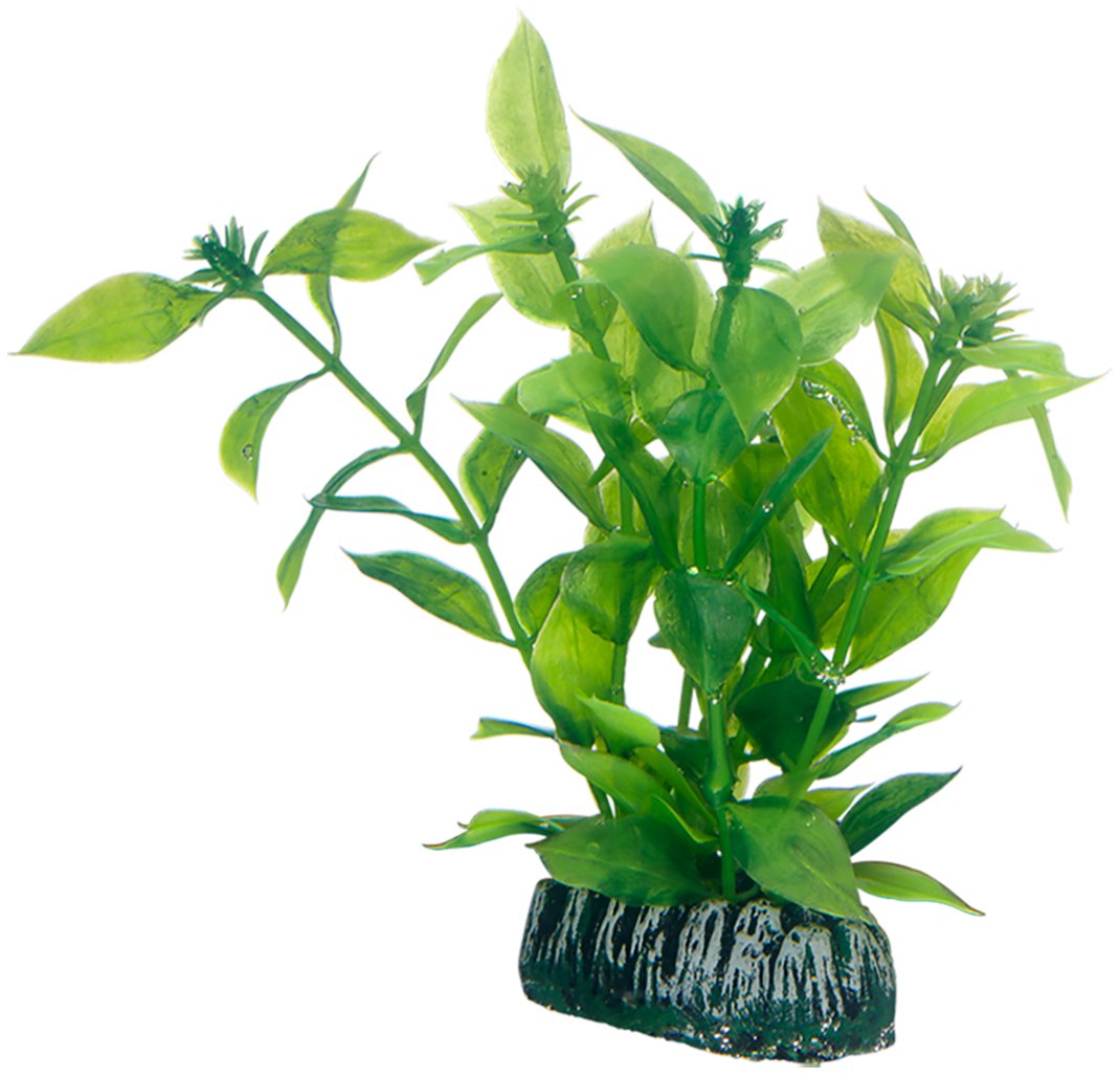 Hobby Aquarium Décor, Artificial Plant - Hygrophila Small, 13 Cm