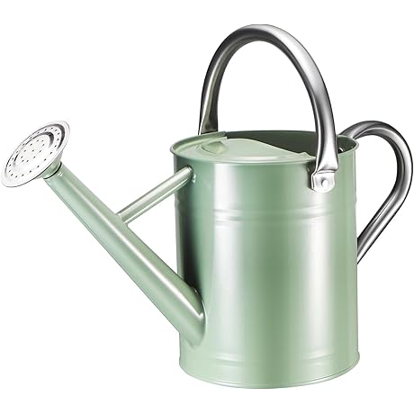 Glamorous Outdoor Watering Tool: The Enchanted Cream Green Watering Can