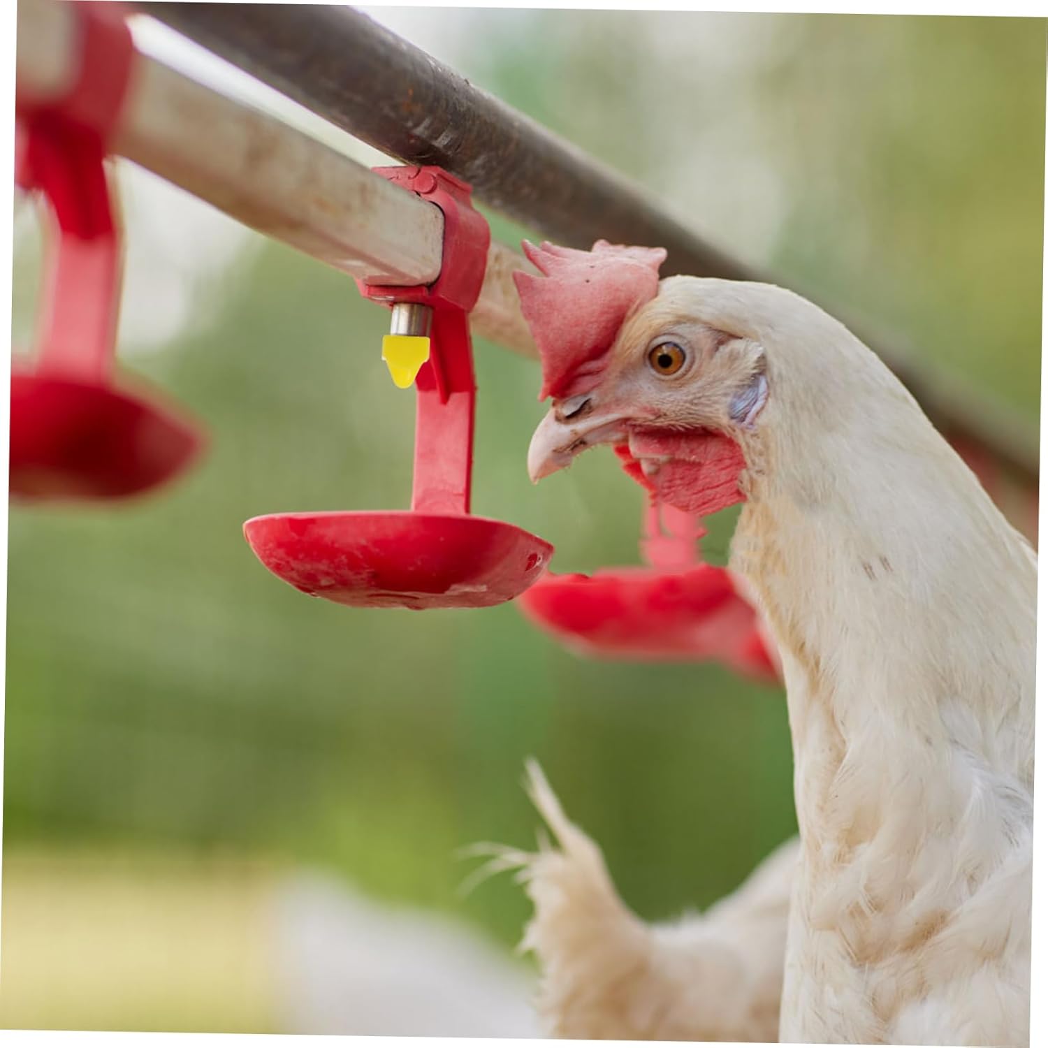 5 Sets Quick Install Chicken Waterer Nipples Poultry Watering System Heated Chicken Waterer