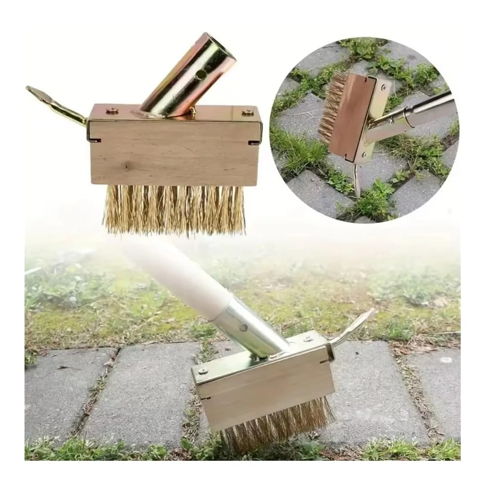 Brosse de désherbage en Fil d'acier Inoxydable, Manche Long for l'élimination de la Mousse des Mauvaises Herbes dans Les allées et Les Jardins(Color 2)