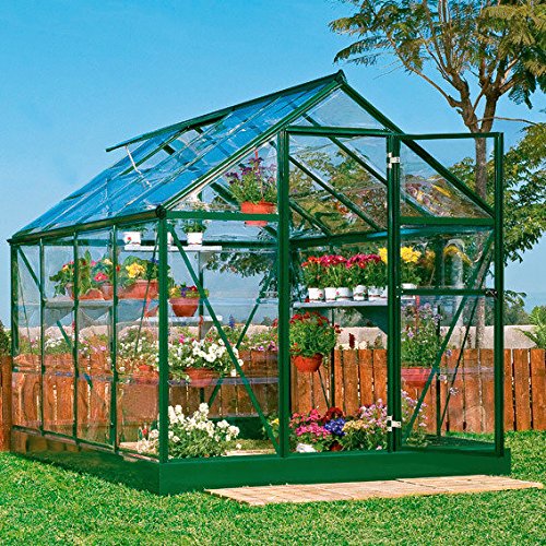 Gärtner Pötschke Green Line - Invernadero con cimientos de acero (6 x 8)