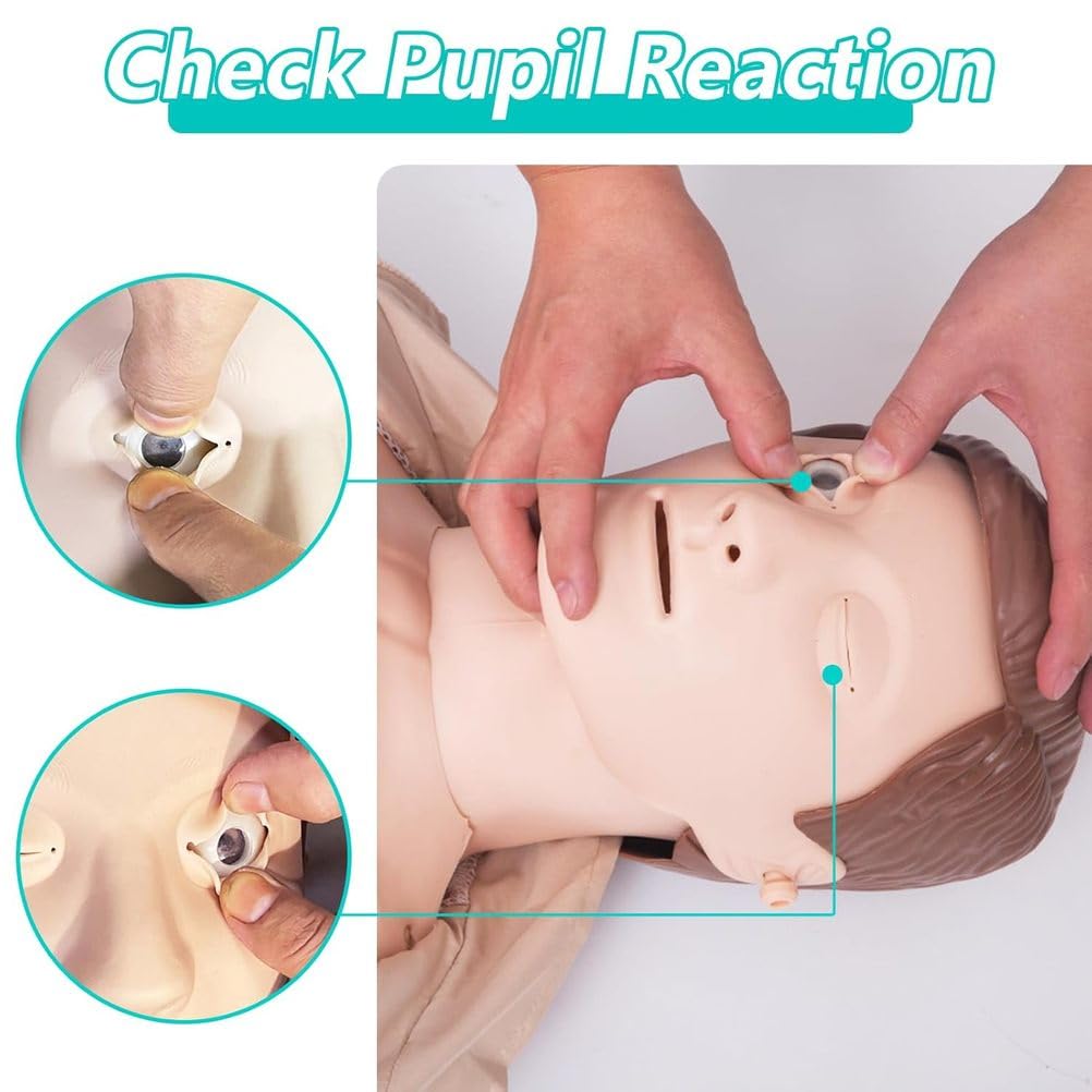 Herz-Lungen-Wiederbelebungstraining Modell Puppen Dummy Training Kit Professionelle Dummies Test Dummies Erwachsene mit mittlerer Haut MCR Medizinisches Zubehör