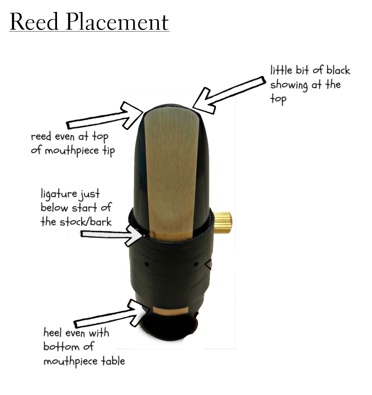 Herche Superior Alto Saxophone Professional Grade Musical Instruments