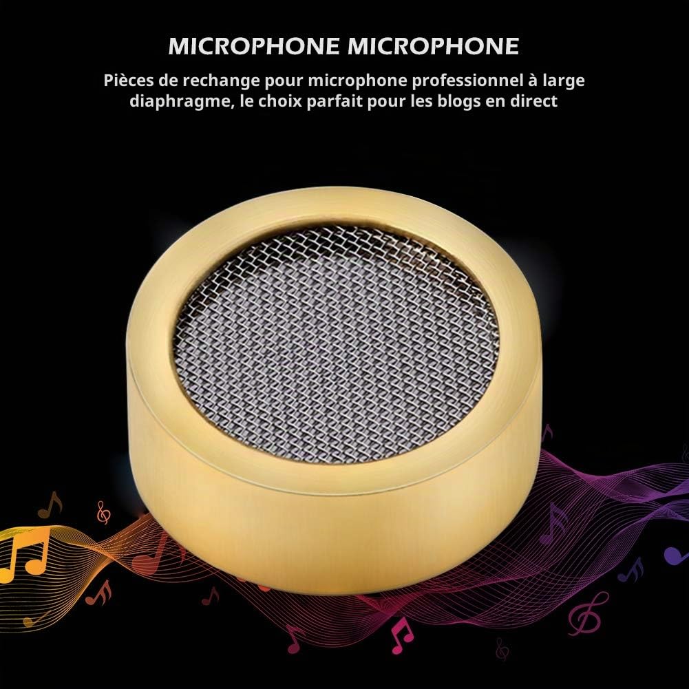 Microphone à grande membrane cartouche noyau Capsule remplacements pièces de micro accessoires d'instruments de musique