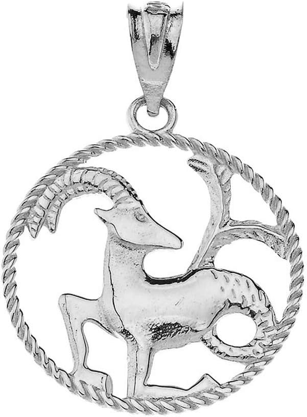 Exquisite 925 Sterling Silver Round Zodiac Sign Horoscope Constellation Rope-Style Charm Pendant