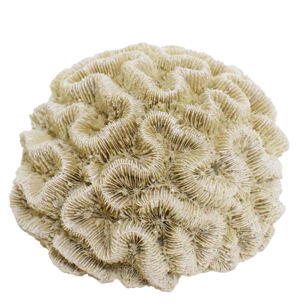 Nobby Aqua Ornaments, Light