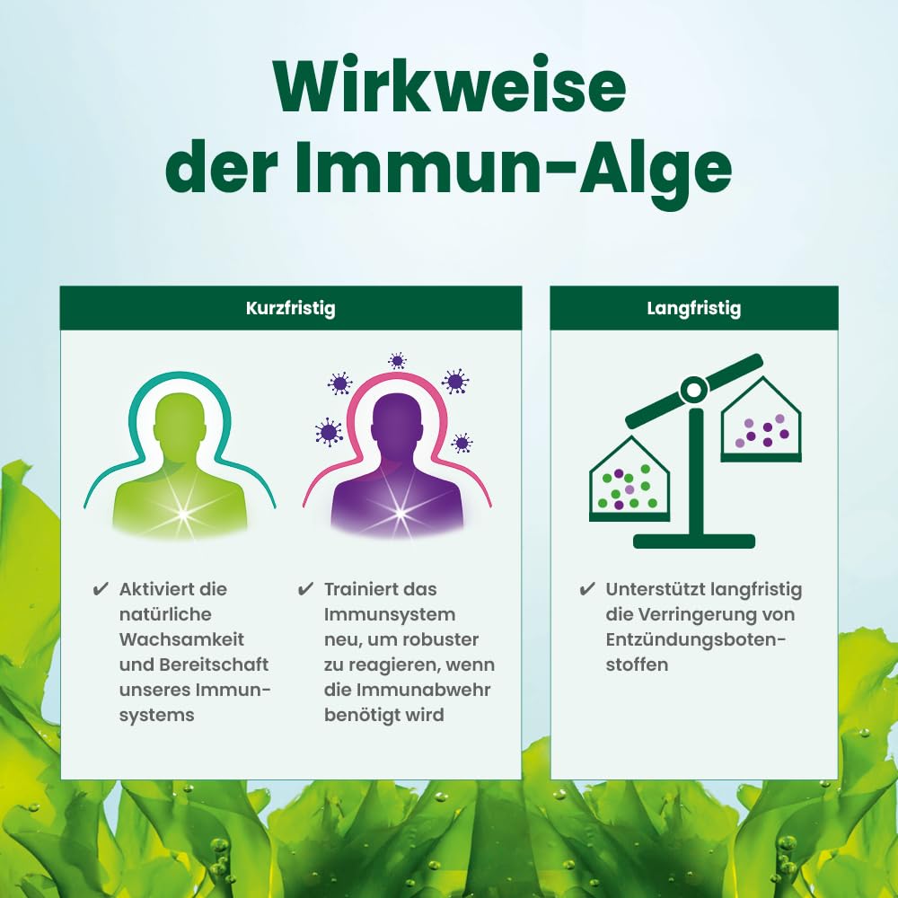Alsiroyal Immun-Alge PLUS Manuka MGO 350+ DIREKT (40 Sticks) - Nahrungsergänzung mit Beta-Glucan aus Euglena gracilis, Vitamin C & Zink - Praktische Direkt-Sticks für unterwegs