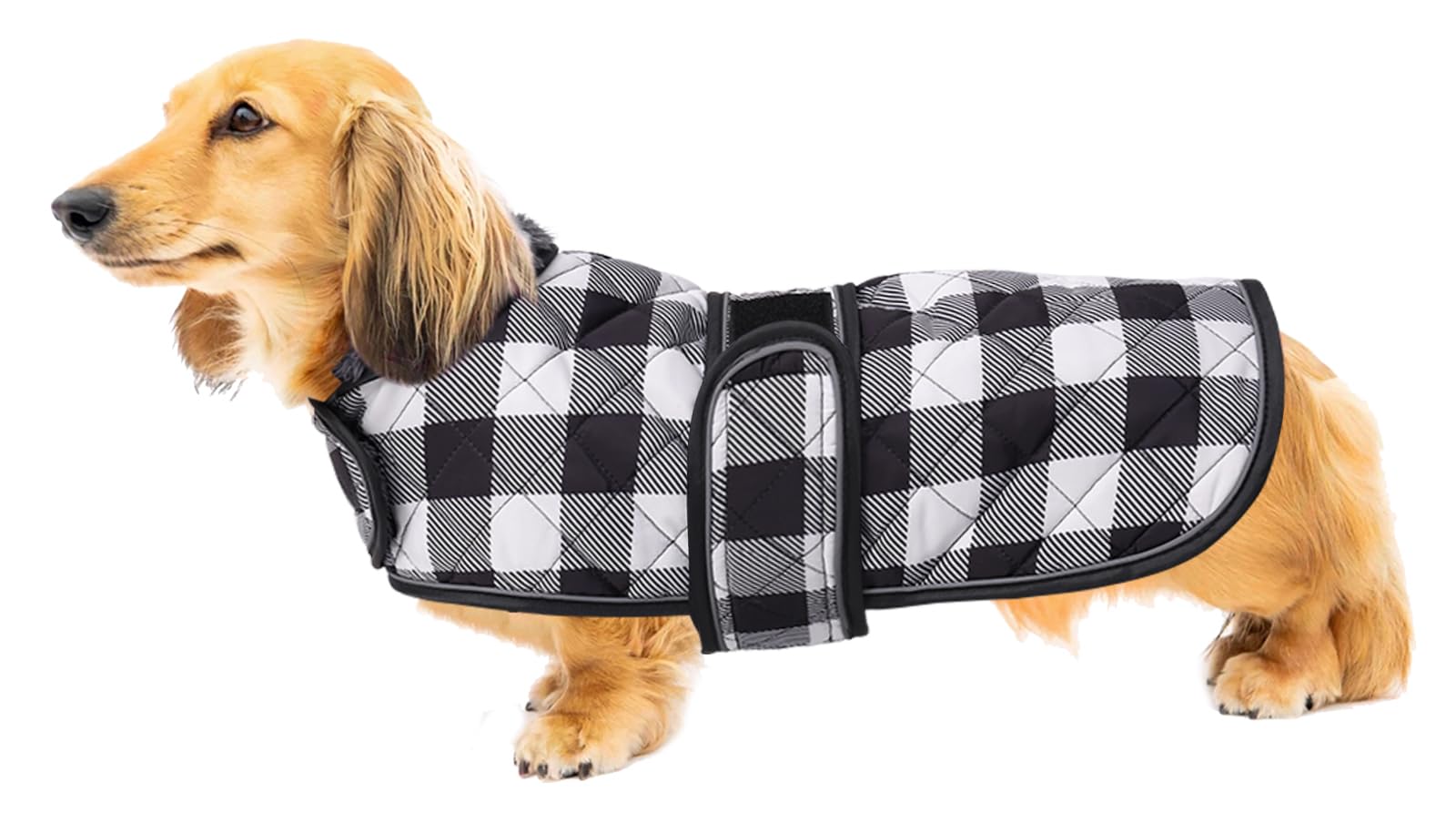 Geyecete Waterproof Warm Thermal Quilted Dachshund Coat with Warm Fleecy Lining Inside,Outdoor Dog Apparel with Adjustable Bands for Small,Medium