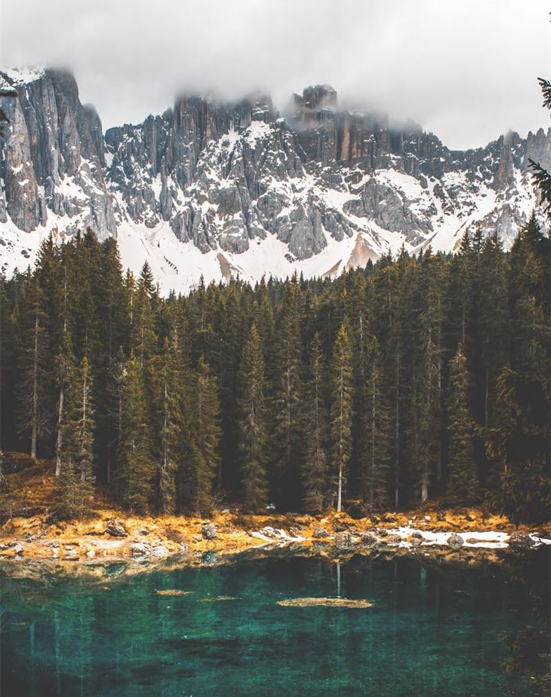 1000 Piece Jigsaw Puzzle for Adults & for Kids Age 10 and Up-Fog,lake,forests 70x50cm