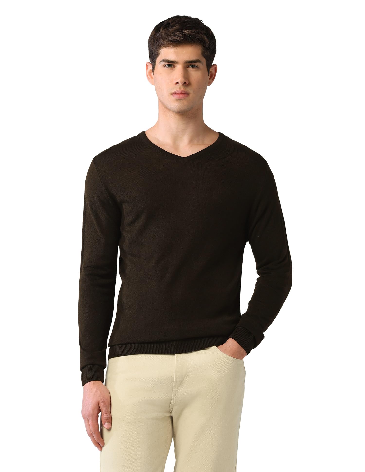 arvind SWFGAON830 Beige Mens Sweater-picture-28
