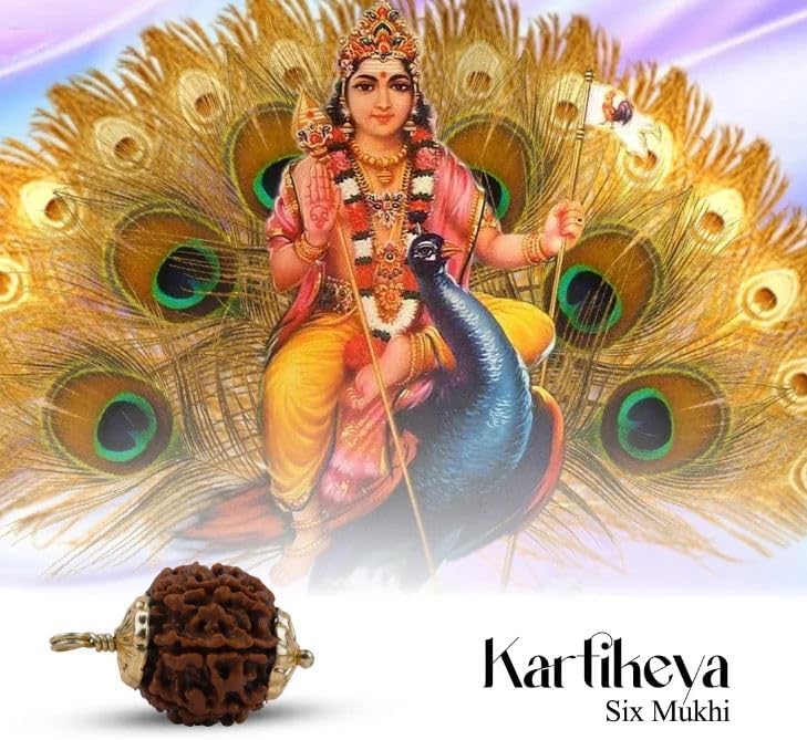 16mm Cheh Mukhi Rudraksha Original Certified 6 Face Rudraksha Pendant छह मुखी रुद्राक्ष Blessed Mahadev For Locket