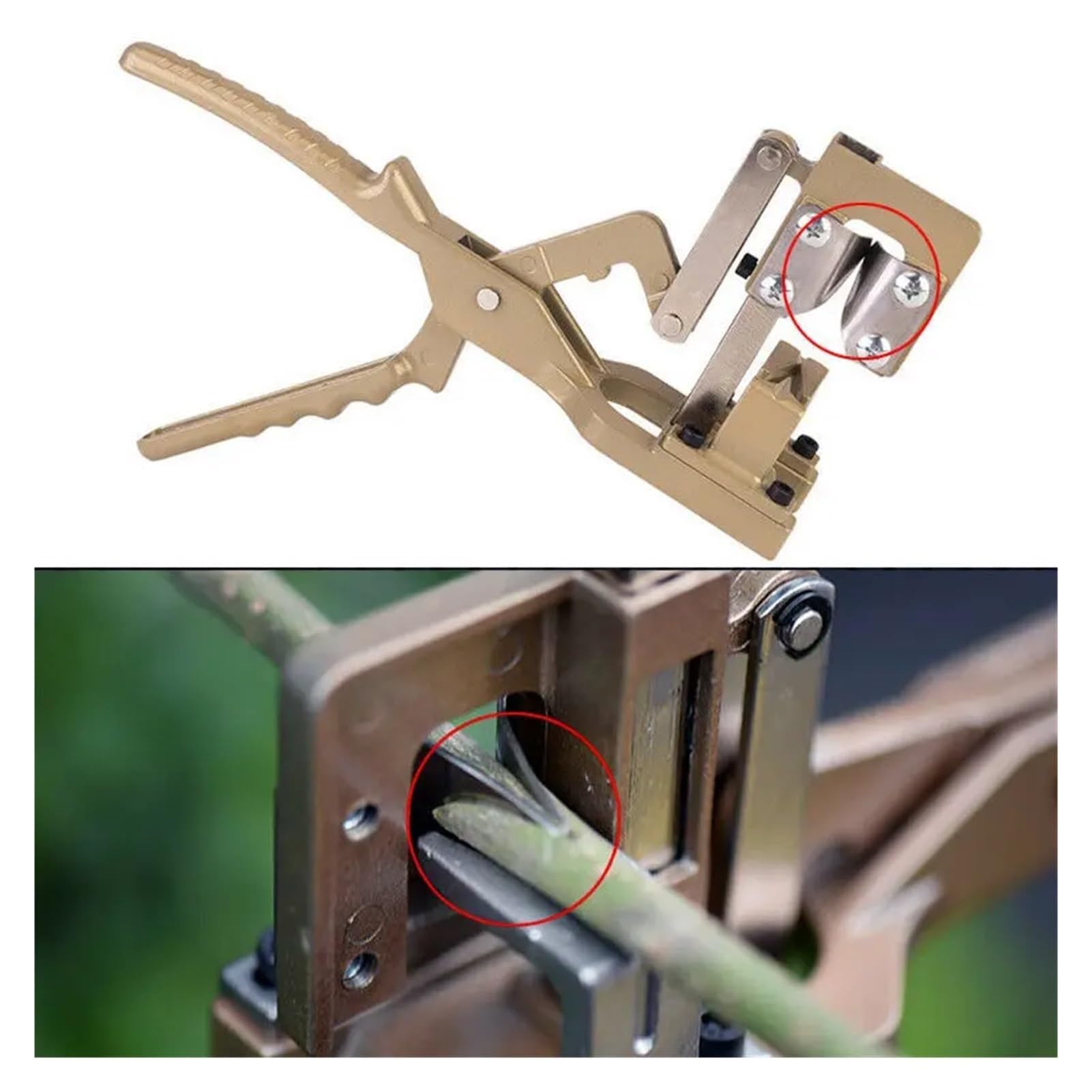 Strumento Professionale for Innesto, Potatore for Innesto Da Giardino, Cesoie Da Potatura ergonomiche, Manico Robusto In Lega Di Alluminio, for Viti Di Alberi Da Frutto Cesoie