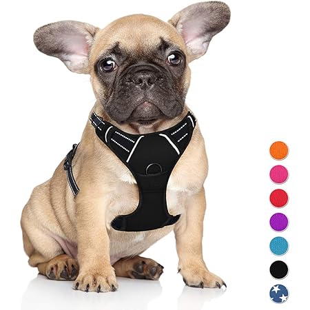 frenchie harness amazon