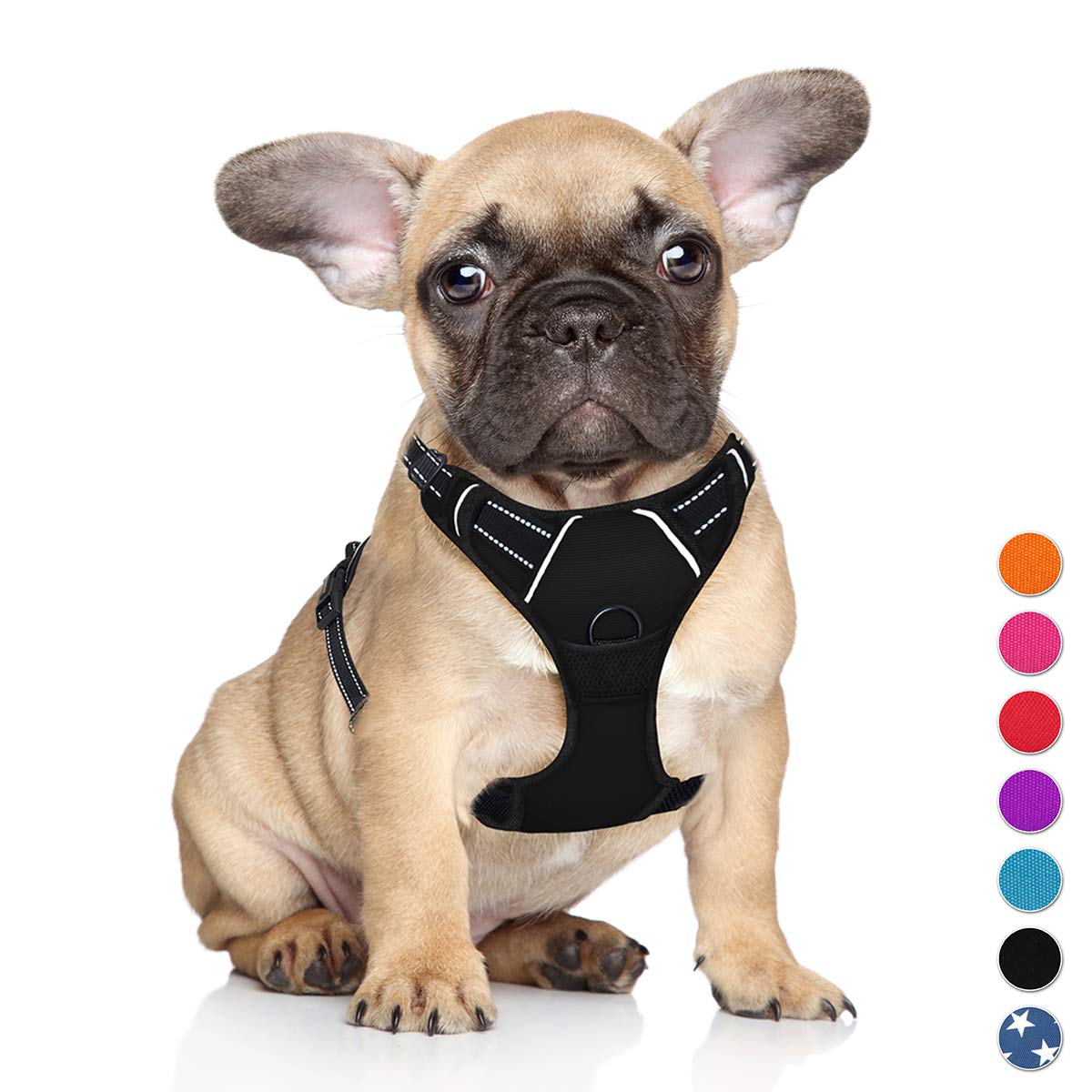 frenchie harness australia