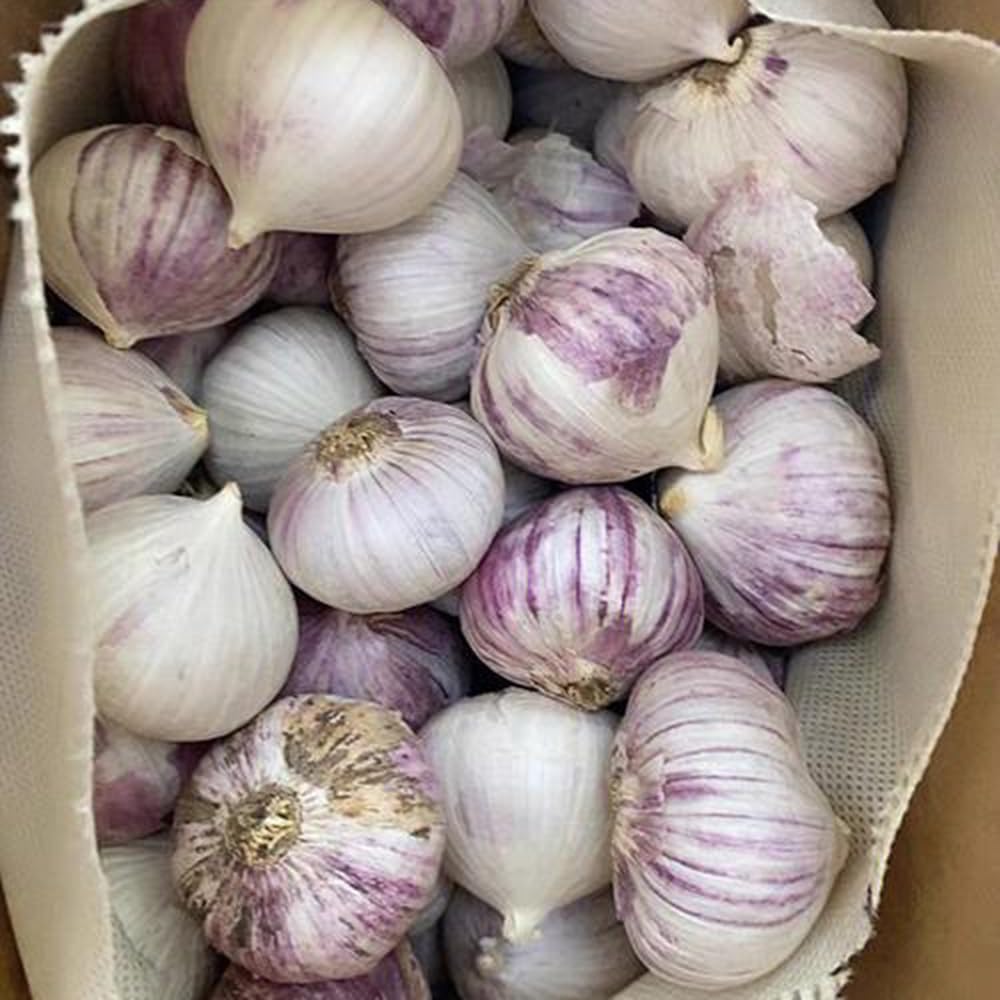 Pici All'aglione: La Ricetta Originale Toscana Spiegata Passo Passo - Foto 7