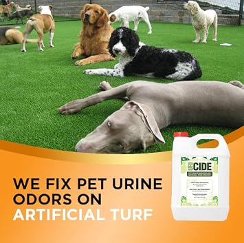 Remove Pet Urine Smells from Artificial Turf. Makes 100 Gallons of Usable Product