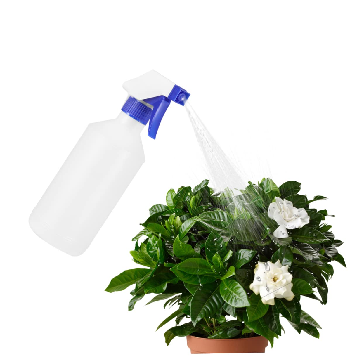Sosoport 12piezas Botella De Spray De Unidades Portátil Para Peluquería Jardinería Rociador De Agua Contenedor