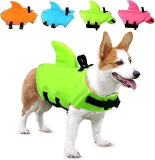 corgi life jacket
