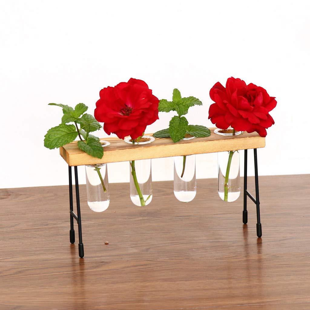 Test Tube Flower Vase Rack Decor For You