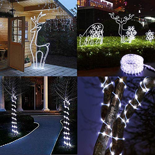 LiyuanQ Solar String Lights Outdoor Rope Lights, 2 Pack 8 Modes 100 LED Solar Powered Outdoor Waterproof Tube Light Copper Wire Fairy Lights for Garden Fence Yard Party Wedding Decor (Cool White)