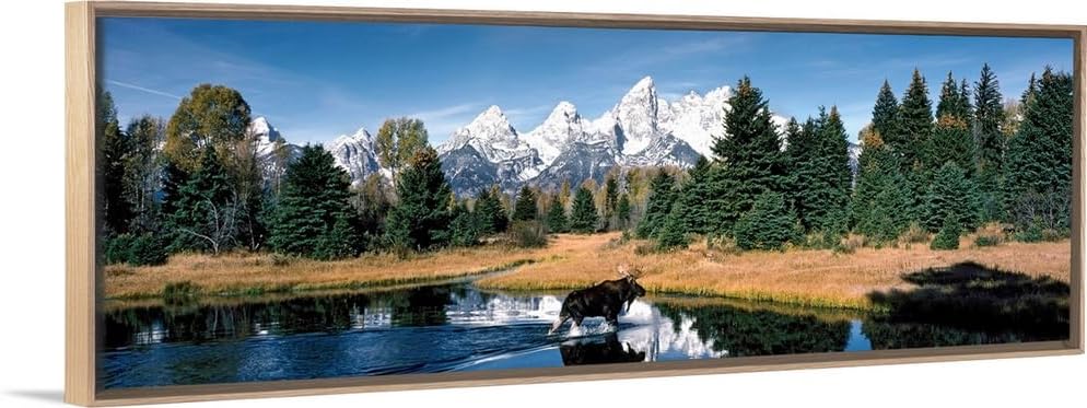 CANVAS ON DEMAND Moose & Beaver Pond Grand Teton National Park Wy Canvas Wall Art Print, Home Decor, Wildlife, United States Artwork,48" x16in