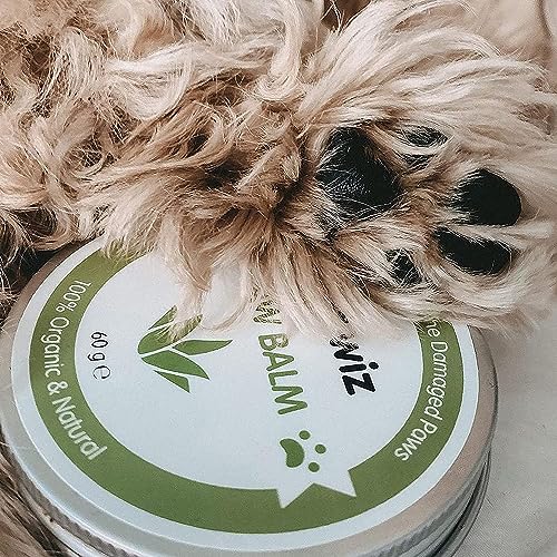 pet wiz Pfoten- & Nasenbalsam für Hunde & Katzen - Bio & Natürliche Inhaltsstoffe - Bio Pfoten- und Nasenbalsam für Hunde und Katzen - Kokosöl, Sheabutter, Vitamin E & Aloe (60g