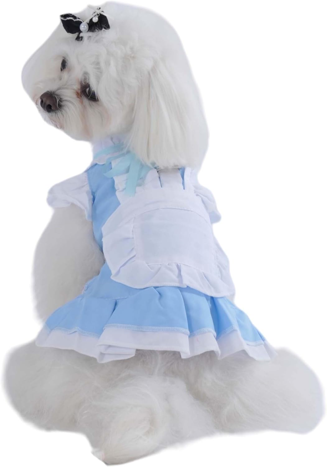 Vestido de perro FLAdorepet princesa Halloween S