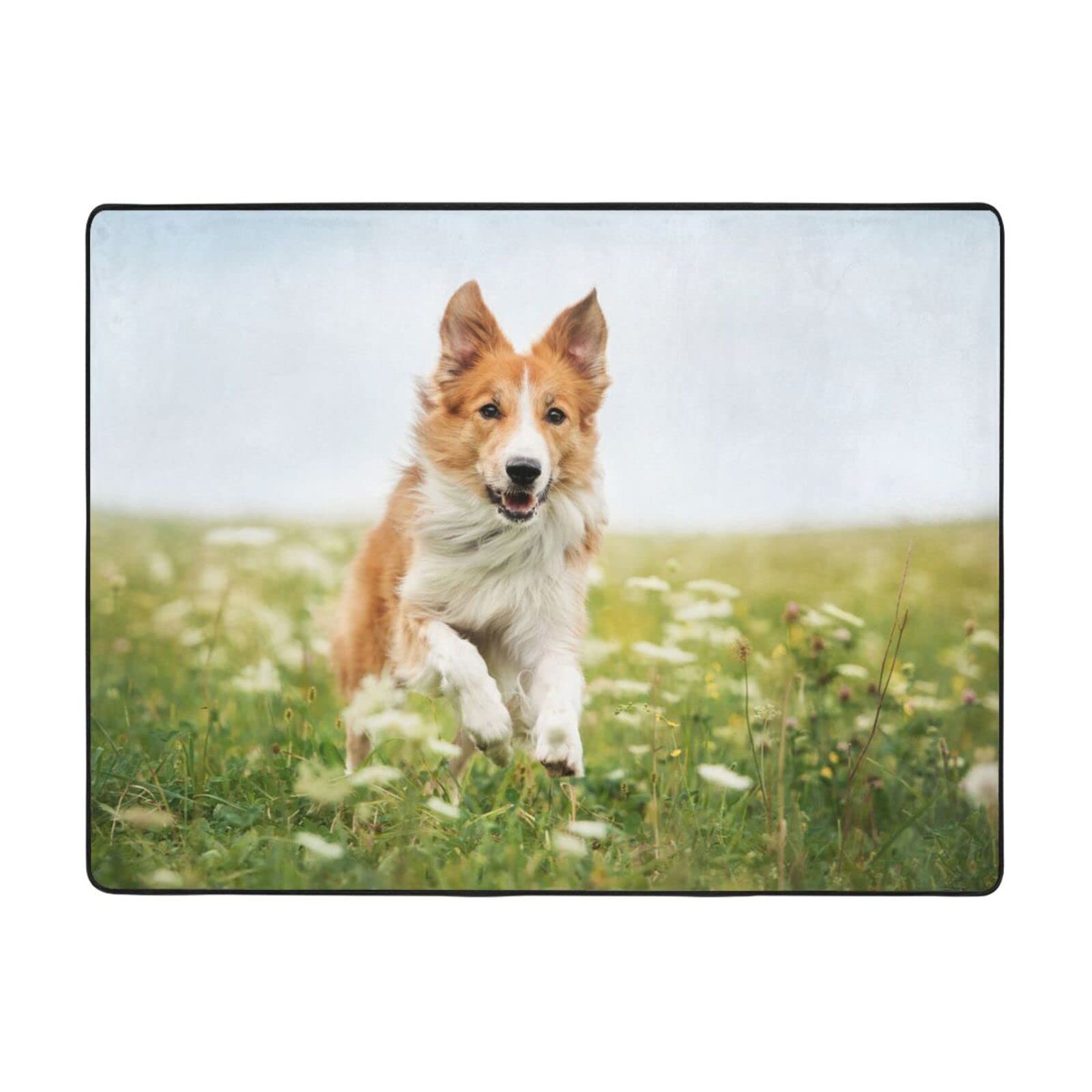 Dog Running Tapis en flanelle anti-glisse PEIXEN pour sécuriser les sols froids